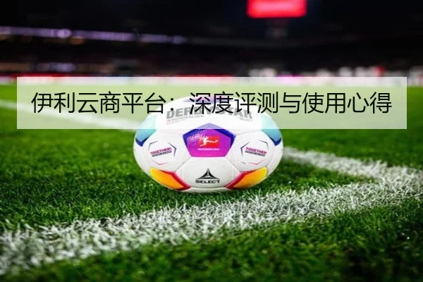 伊利云商平台：深度评测与使用心得
