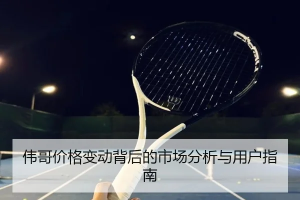 伟哥价格变动背后的市场分析与用户指南